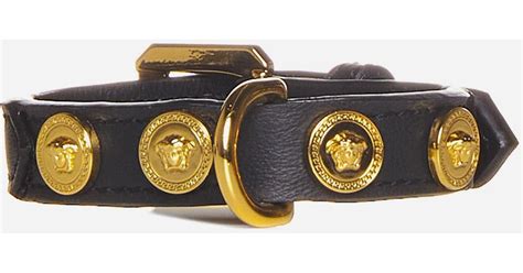 collar versace|versace medusa dog collar.